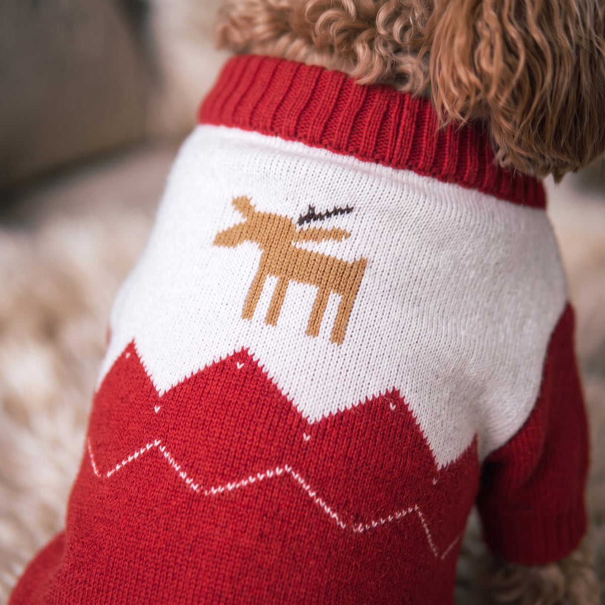 The Holiday Knit