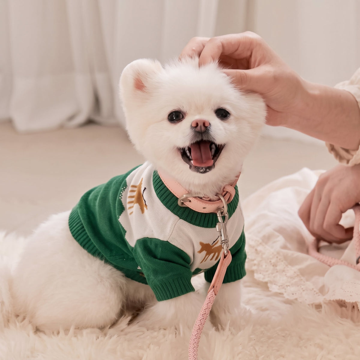 The Holiday Knit